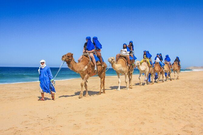 2x1 Tour: Cabo San Lucas Arch + Camels Ride + Pick up! - Getting Oriented in Cabo: Pickup, Time, and How the Day Flows
