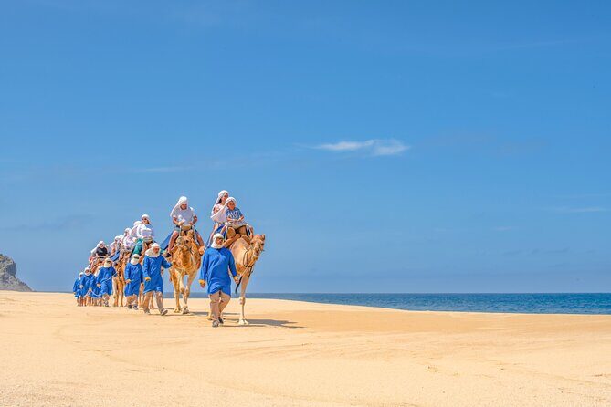 ATVs, UTVs, and Camel Ride in All Access Adventure Park and Beach - Price and logistics: what $299 really buys you