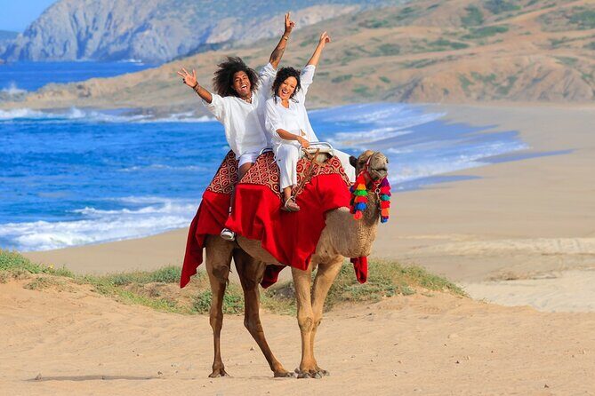 Beach Camel Ride and Encounter in Cabo - The Camel Encounter and 30 Minutes on the Beach