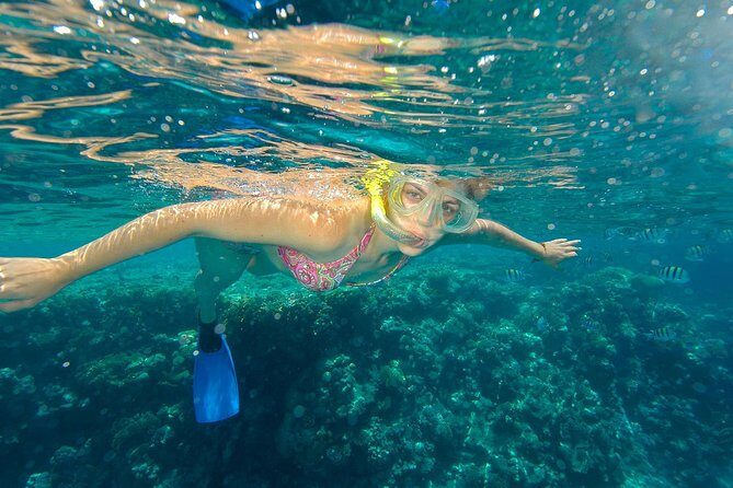 Beach Hopper Small-Group Snorkeling Tour in Los Cabos - Snorkeling Stop 1: Chileno Bay and the Calm-Water Advantage
