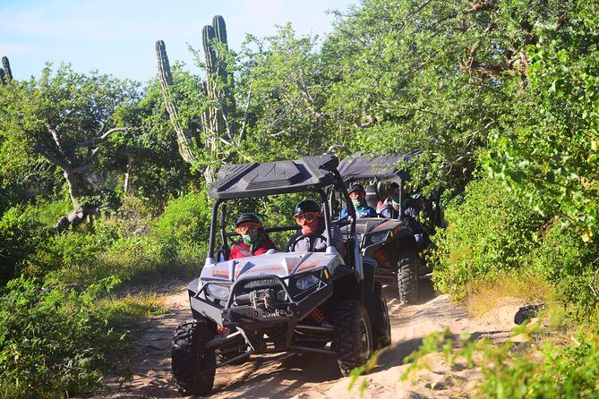 Cabo Original Real Baja 1000 Tour (UTV) - Getting Started Right: Hotel Pickup, Van Transport, and Fast Check-In