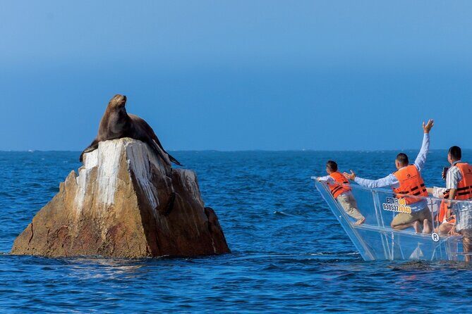 Cabo San Lucas Arc Transparent Boat Tour - Price and timing: $26.81 for a fast, focused route