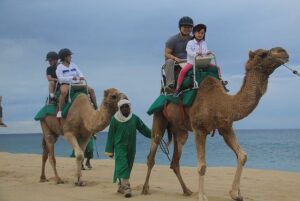 Cabo San Lucas Camel Ride and Encounter on Beach and Desert - Pickup, check-in, and why the schedule can feel off