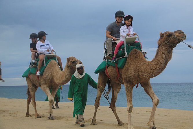 Cabo San Lucas Camel Ride and Encounter on Beach and Desert - Pickup, check-in, and why the schedule can feel off