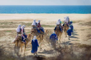 Cabo San Lucas: Camel Safari Tour with Lunch and Tequila - Getting there: vans, pickups, and why timing feels tight