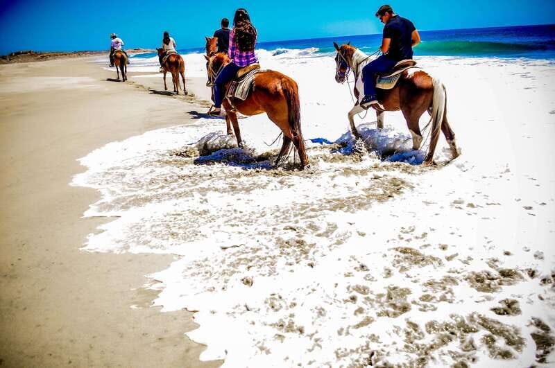 Cabo San Lucas: Horseback Riding in Migriño with Transfers - Key things to know before you go