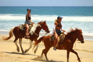 Cabo San Lucas: Horseback Riding in Migriño with Transfers - Entering Migriño: safety briefing, helmet, and getting matched to your horse