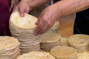 Cabo San Lucas Mexican Cooking Class Experience and Local Markets - Meeting at Mercabo Gourmet Street Food and building your day
