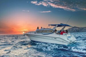 Cabo San Lucas Private Yacht Cruise with Open Bar - Pelican Rock Snorkeling Stop: Best Odds to See Marine Life Fast