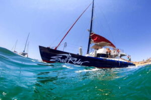Cabo San Lucas: Snorkel, Lunch and Sail Experience - Sailing the Cabo highlights: Arch, Lover’s Beach, sea lions