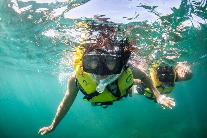 Cabo San Lucas: Snorkel, Lunch and Sail Experience - Snorkeling over living coral: how the snorkel stop works