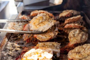 Cabo San Lucas: Sunset Dinner Cruise - Where you meet the boat (and how to not waste time)