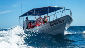 Cabo San Lucas: Tour paseo al Arco + bajada en playa - Safety Briefing and Boarding: Small Steps, Big Timing Impact