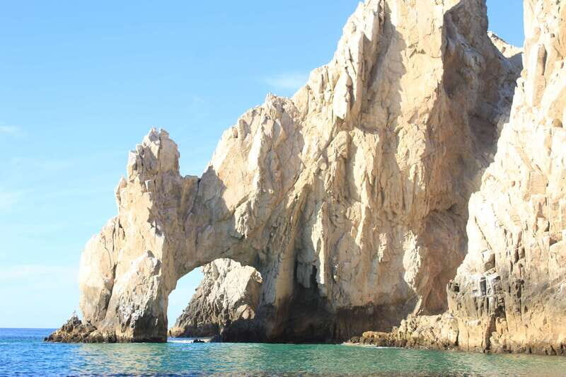 Cabo San Lucas: Up-Close Whale Watching Small-Group Tour - The 2.5-hour flow: La Terminal de Cabo to open water and back