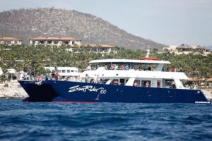 Cabo San Lucas Whale Watching Lunch Cruise - Getting started: meeting at Marina Cabo San Lucas