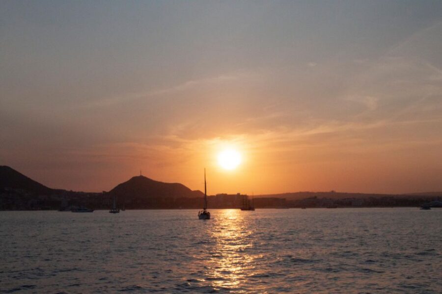 Cabo San Lucas: Whale Watching Tour with Buffet & Open Bar - 150 Minutes Total: How the Whale-Watching Time Actually Works