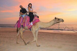 Camel Encounter and Safari Ride with Lunch and Alcohol Tasting - The camel encounter: what you’ll learn and what to watch for