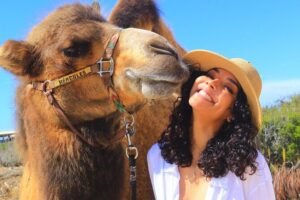 Camel Ride and UTV Combo Adventure, with Tequila Tasting - Baja desert driving: UTV or Side-by-Side in real off-road terrain