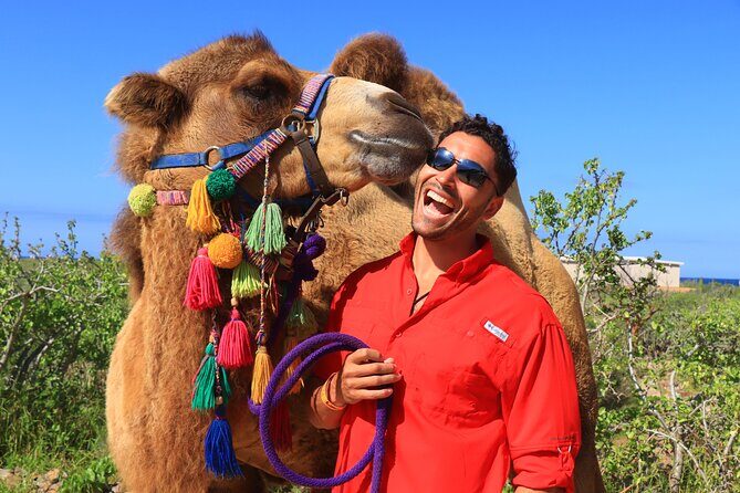 Camel riding experience on the shores of the Pacific Ocean - Safety briefing before you mount: why it’s worth paying attention