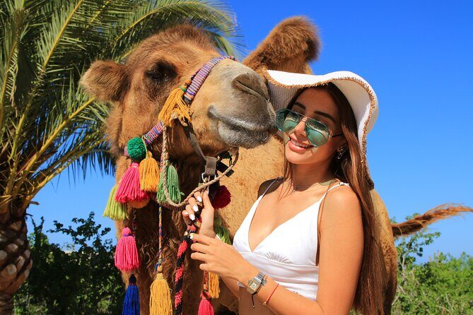 Camel riding experience on the shores of the Pacific Ocean - Hotel pickup and timing: how to make it painless