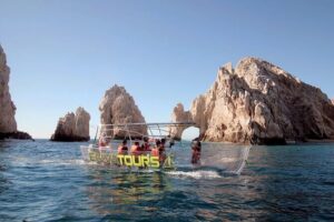 Clear Boat Ride in Los Cabos - Sea of Cortez Stop: Marine Life Under Your Feet