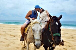 Combo Double Utv + Horses - Price and value: $400 per group and how to judge the deal