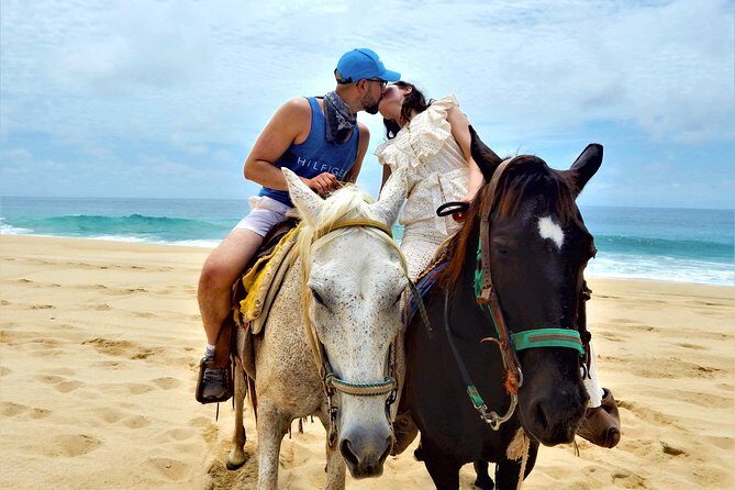 Combo Double Utv + Horses - Price and value: $400 per group and how to judge the deal