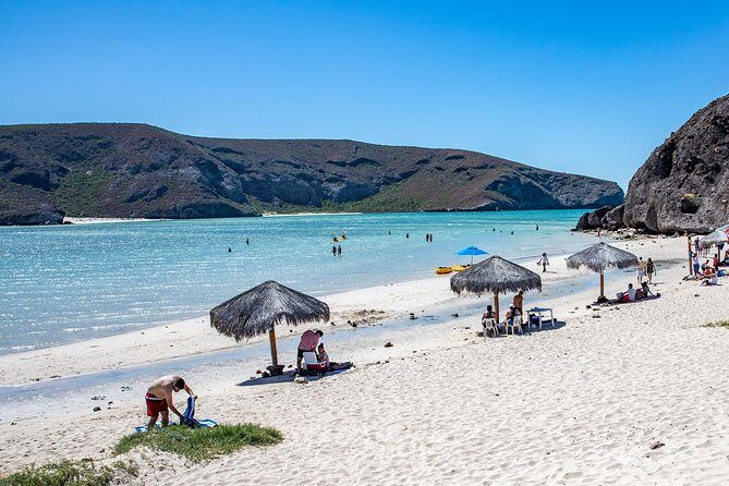 Day Trip to La Paz & Balandra Beach from Cabo San Lucas - Price and value: what $130 covers, and what to expect extra