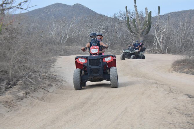 Double ATV Migriño Beach & Desert - Rest stops and seasonal whale watching