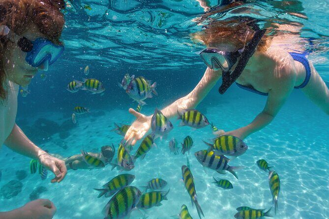 Expedition to the Arch and to the Lands End, with Snorkeling Beach. - Snorkeling Time at the Reef: What You Can Expect to See