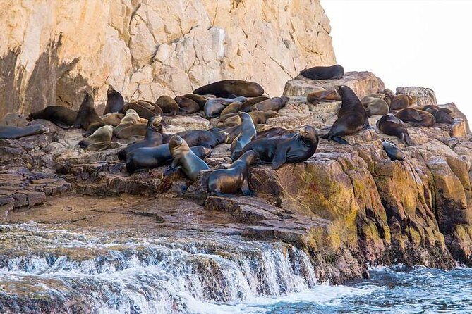 Explore Los Cabos City Tour, Glass-Bottom Boat Ride, Lunch and Shopping! - Cabo San Lucas Bay: Glass-Bottom Boat and Land’s End Stops