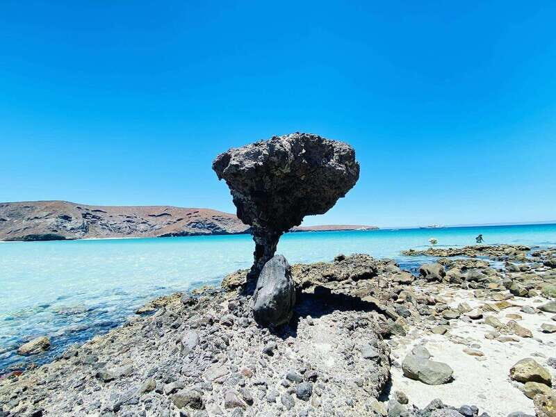 From Cabo/San José del Cabo: La Paz, Balandra & Todos Santos - Playa Balandra: Protected Beach Beauty With Practical Limits