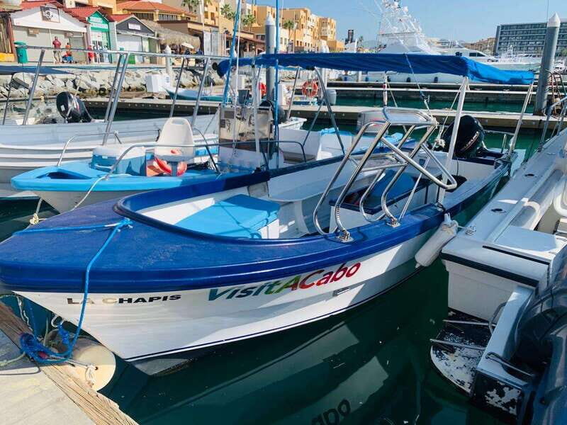 From Cabo San Lucas: Lovers Beach and El Arco Boat Trip - Dock #2 to Sea: How This Tour Actually Starts