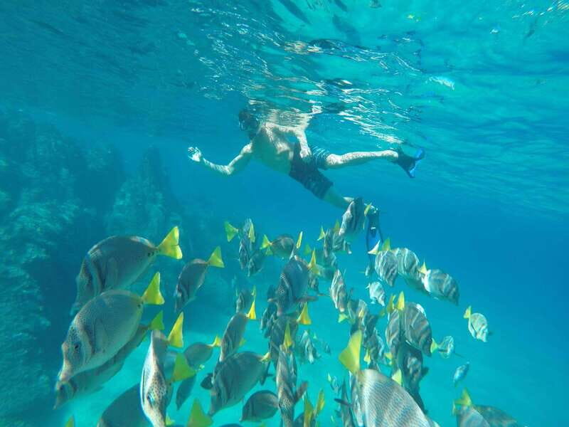 From Cabo San Lucas: Lovers Beach and El Arco Boat Trip - The Glass-Bottom Boat Past El Arco (and What You’ll See)