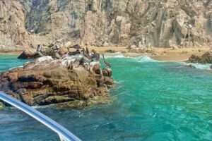 Glass Bottom Boat to the Arch and Lovers Beach: Optional Pickup - The key stops: Pelican Rock, Neptune’s Finger, and the Arch