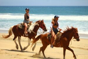 Horseback Riding Adventure in Playa Migriño with Tequila Tasting - The 3-hour plan: what the timing usually feels like