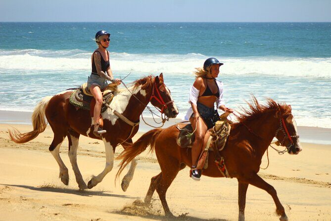 Horseback Riding Adventure in Playa Migriño with Tequila Tasting - The 3-hour plan: what the timing usually feels like