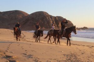 Horseback Riding Experience in Rancho San Cristobal - The Guide Makes It Worth More Than a Scenic Stroll