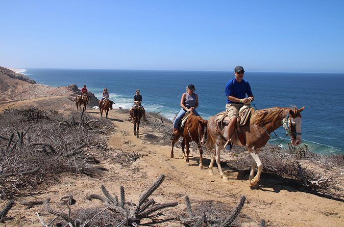 Horseback Riding Experience in Rancho San Cristobal - Food and the Quelele Stop: A Solid Finish After Riding