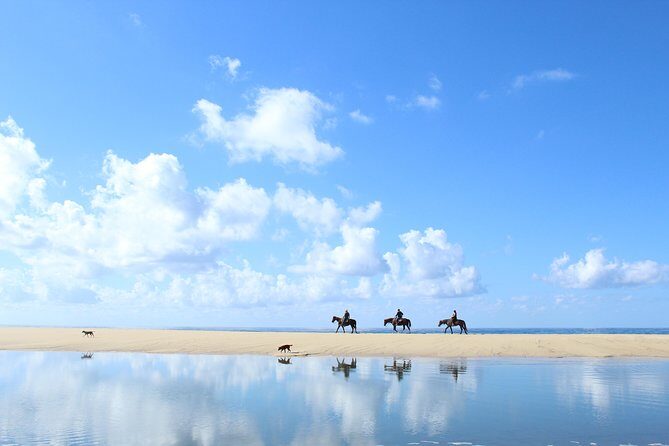 Horseback Riding Tour in Cabo San Lucas - Hotel pickup to ranch orientation: where the time starts adding up