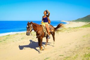 Horseback Riding Tour in Los Cabos - Desert Trails to Beach Sand: Views, Cacti, and Whale-Season Chances