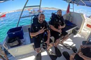 Los Cabos 1 tank dive to Land’s End (Certified Divers) - Sea of Cortez stop: what makes this stretch of water work
