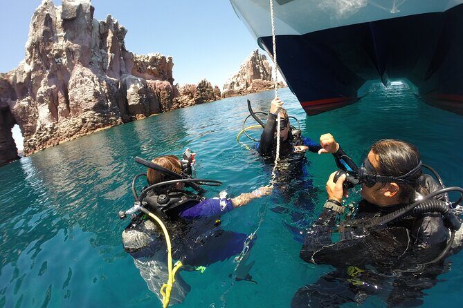 Los Cabos 2 tanks dive to The Corridor (Certified divers) - The Corridor from Los Cabos: where multiple currents bring big animals