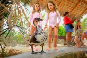 Los Cabos: Animal Encounter & Aqua Park Adventure - The 4-Hour Flow: Pickup, Guided Animal Time, Then Bridge and Swimming