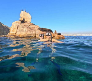 Los Cabos Arch & Lover’s Beach Tour + Snorkeling Tour - Meeting Baja Snorkel Near the Dolphinarium (and Finding Your People)