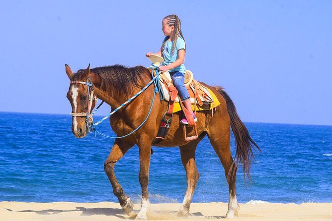 Los Cabos - COMBO Horseback Riding & ATV Tour - Getting started at the park: ATV prep, White Lions, and first instructions