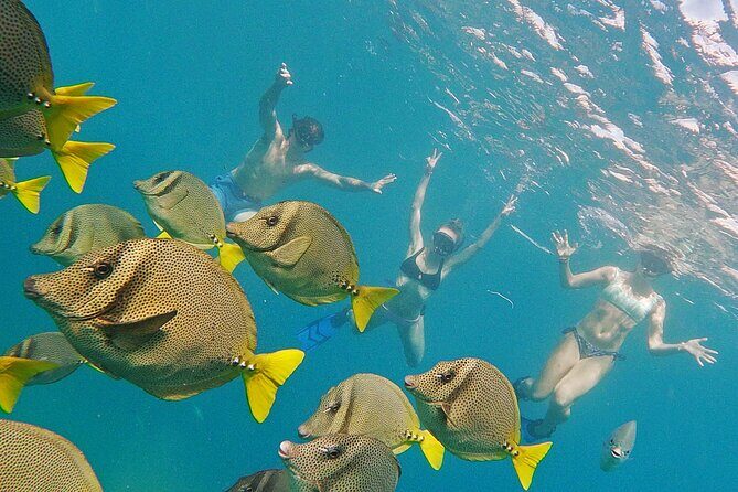 Los Cabos Snorkeling Tour by Speed Boat with Photos Included - Snacks, juice boxes, and staying cool on a 3-hour ride