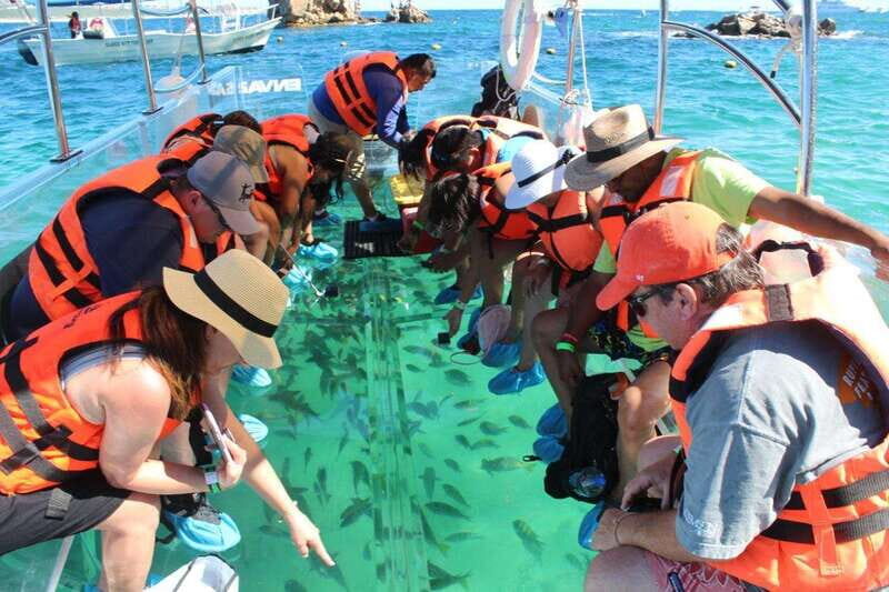 Los Cabos: Transparent Boat Tour with Optional City Tour - The 50-Minute Boat Cruise: Sea Lions, Rocks, and Underwater Views