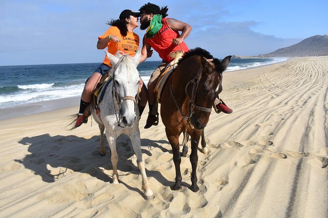 Love is in the air: Private Cabo Beach Sunset Horse Ride W Dinner - How the tour shifts from desert to the coastline