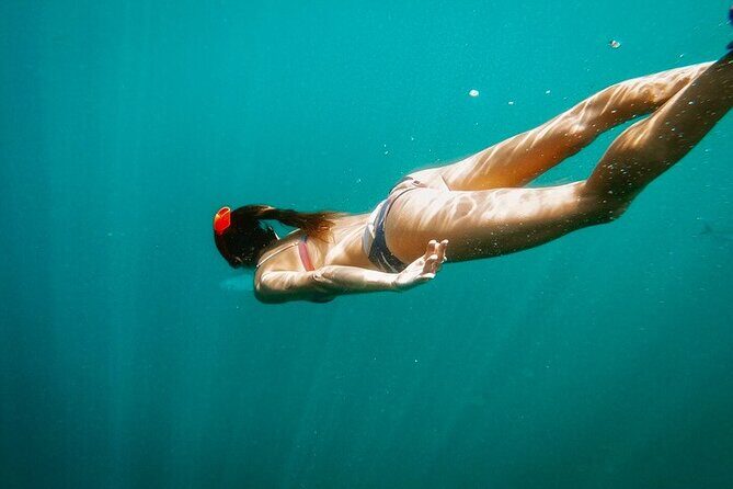 Luxury Snorkeling Tour in Cabo San Lucas - Luxury catamaran comfort with a small-group vibe